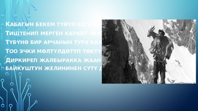 К абагын бекем түйүп кеги бардай, Т иштенип мерген карайт эки жакты. Т үбүнө бир арчанын тура калып, Т оо эчки мөлтүлдөтүп төктү жашты . Д иркиреп жалбыракка жаан болуп, Байкуштун желининен сүтү да акты. 