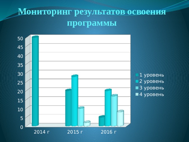Мониторинг  результатов освоения программы 
