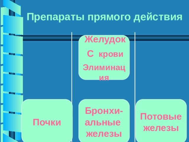 Препараты прямого действия  Желудок   С крови  Элиминация   Почки Бронхи- Потовые альные  железы железы 