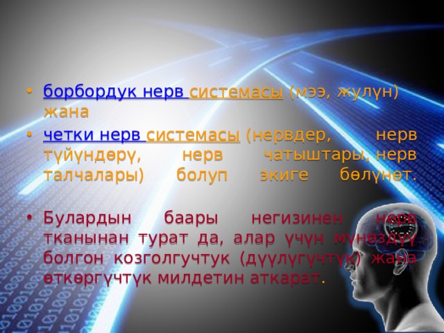 борбордук нерв системасы  (мээ, жулүн) жана четки нерв системасы  (нервдер, нерв түйүндөрү, нерв чатыштары, нерв талчалары) болуп экиге бөлүнөт.   Булардын баары негизинен нерв тканынан турат да, алар үчүн мүнөздүү болгон козголгучтук (дүүлүгүчтүк) жана өткөргүчтүк милдетин аткарат . 