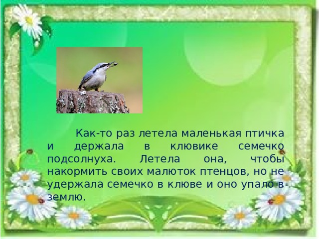  Как-то раз летела маленькая птичка и держала в клювике семечко подсолнуха. Летела она, чтобы накормить своих малюток птенцов, но не удержала семечко в клюве и оно упало в землю. 
