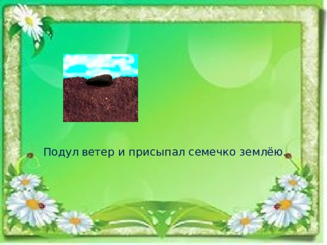 Подул  ветер и присыпал семечко землёю. 