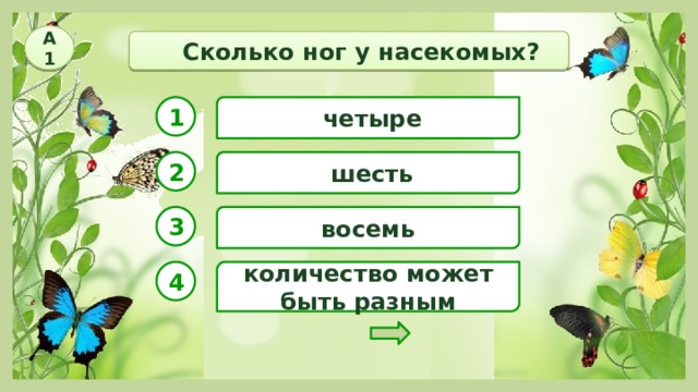 А1  Сколько ног у насекомых? 1  четыре  шесть 2 восемь 3 4 количество может быть разным 