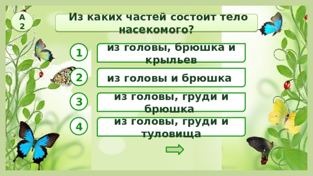 А2  Из каких частей состоит тело насекомого? 1 из головы, брюшка и крыльев 2 из головы и брюшка из головы, груди и брюшка 3 4 из головы, груди и туловища 