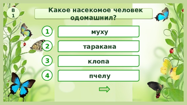 В1  Какое насекомое человек одомашнил? 1  муху 2  таракана клопа 3  пчелу 4 