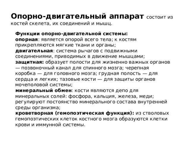 Опорно-двигательный аппарат состоит из костей скелета, их соединений и мышц. Функции опорно-двигательной системы: опорная : является опорой всего тела; к костям прикрепляются мягкие ткани и органы; двигательная : система рычагов с подвижными соединениями, приводимых в движение мышцами; защитная:  образует полости для жизненно важных органов — позвоночный канал для спинного мозга; черепная коробка — для головного мозга; грудная полость — для сердца и легких; тазовые кости — для защиты органов мочеполовой системы; минеральный обмен : кости являются депо для минеральных солей: фосфора, кальция, железа, меди; регулируют постоянство минерального состава внутренней среды организма; кроветворная (гемопоэтическая функция):  из стволовых гемопоэтических клеток костного мозга образуются клетки крови и иммунной системы. 