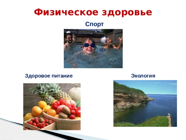 Физическое здоровье Спорт Здоровое питание Экология  