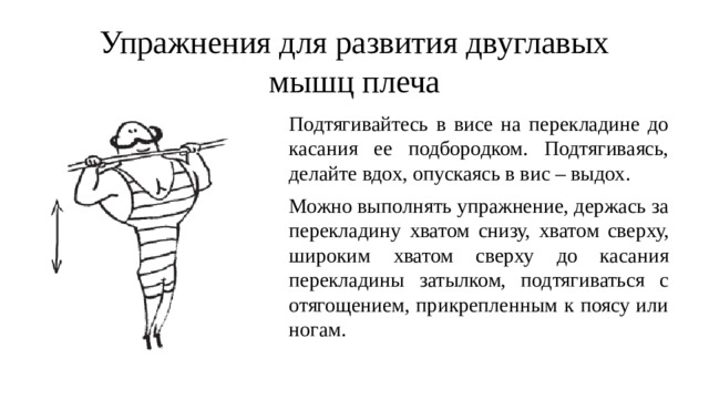 Упражнения для развития двуглавых мышц плеча Подтягивайтесь в висе на перекладине до касания ее подбородком. Подтягиваясь, делайте вдох, опускаясь в вис – выдох. Можно выполнять упражнение, держась за перекладину хватом снизу, хватом сверху, широким хватом сверху до касания перекладины затылком, подтягиваться с отягощением, прикрепленным к поясу или ногам. 