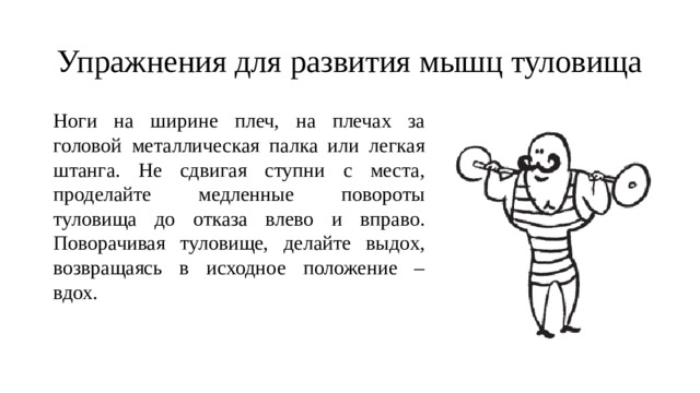Упражнения для развития мышц туловища Ноги на ширине плеч, на плечах за головой металлическая палка или легкая штанга. Не сдвигая ступни с места, проделайте медленные повороты туловища до отказа влево и вправо. Поворачивая туловище, делайте выдох, возвращаясь в исходное положение – вдох. 