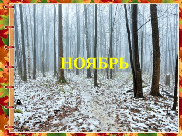 НОЯБРЬ 