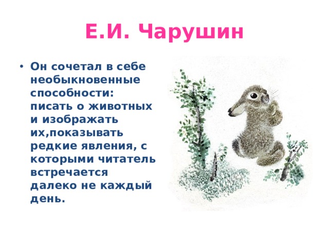 Е . И. Чарушин Он сочетал в себе необыкновенные способности: писать о животных и изображать их,показывать редкие явления, с которыми читатель встречается далеко не каждый день. 