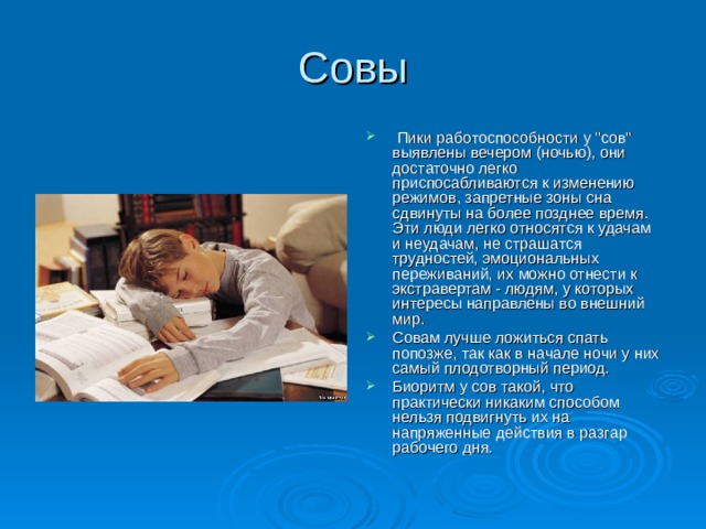 Совы  Пики работоспособности у 