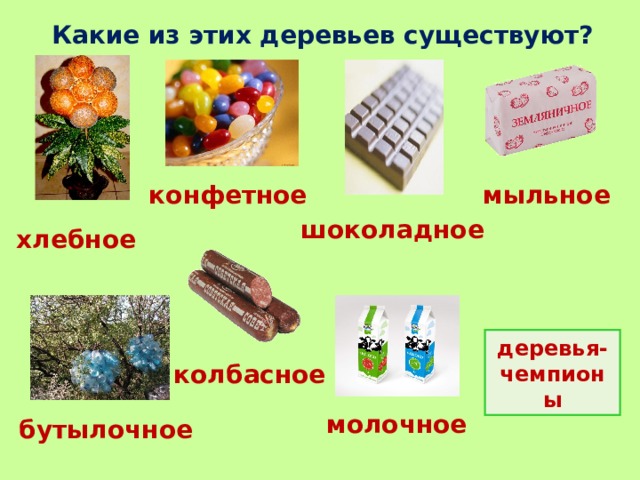 Какие из этих деревьев существуют? конфетное мыльное шоколадное хлебное деревья-чемпионы колбасное молочное бутылочное 