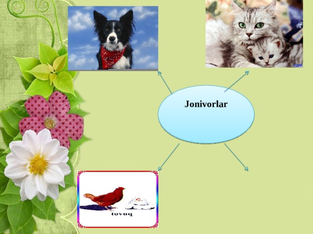    Jonivorlar  