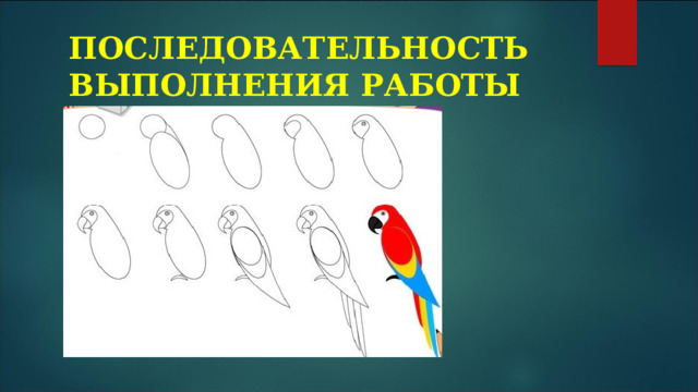 ПОСЛЕДОВАТЕЛЬНОСТЬ ВЫПОЛНЕНИЯ РАБОТЫ 
