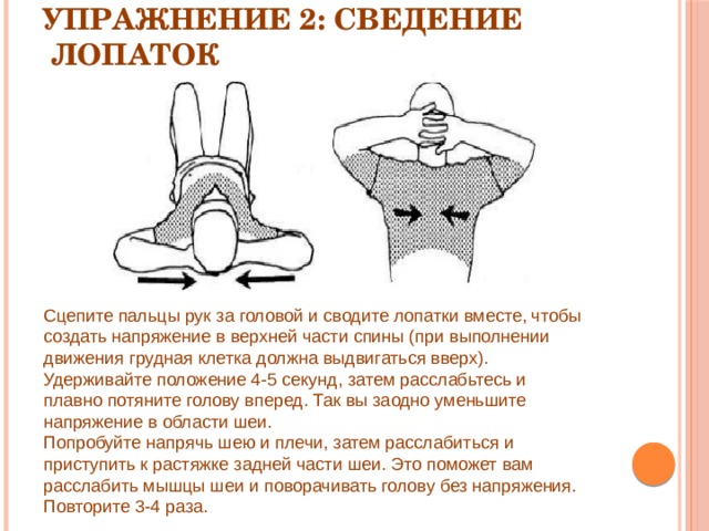 Упражнение 2: Сведение  лопаток   Сцепите пальцы рук за головой и сводите лопатки вместе, чтобы создать напряжение в верхней части спины (при выполнении движения грудная клетка должна выдвигаться вверх). Удерживайте положение 4-5 секунд, затем расслабьтесь и плавно потяните голову вперед. Так вы заодно уменьшите напряжение в области шеи. Попробуйте напрячь шею и плечи, затем расслабиться и приступить к растяжке задней части шеи. Это поможет вам расслабить мышцы шеи и поворачивать голову без напряжения. Повторите 3-4 раза. 