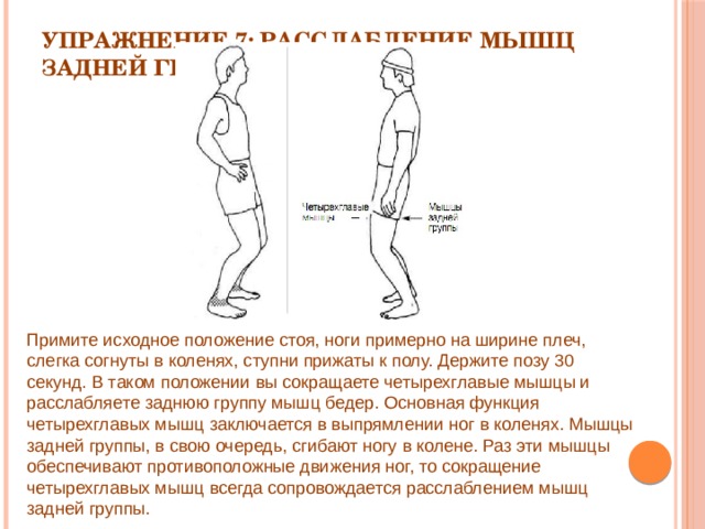 Упражнение 7: Расслабление мышц задней группы   Примите исходное положение стоя, ноги примерно на ширине плеч, слегка согнуты в коленях, ступни прижаты к полу. Держите позу 30 секунд. В таком положении вы сокращаете четырехглавые мышцы и расслабляете заднюю группу мышц бедер. Основная функция четырехглавых мышц заключается в выпрямлении ног в коленях. Мышцы задней группы, в свою очередь, сгибают ногу в колене. Раз эти мышцы обеспечивают противоположные движения ног, то сокращение четырехглавых мышц всегда сопровождается расслаблением мышц задней группы. 