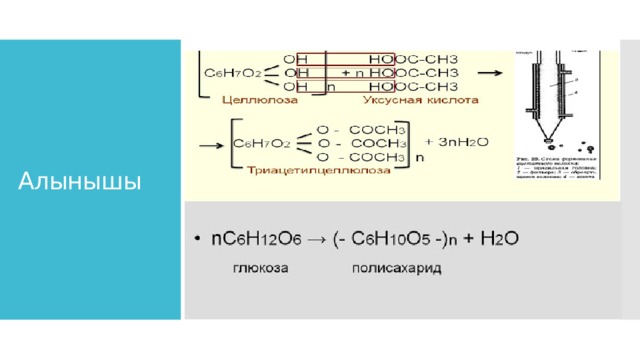 Алынышы 