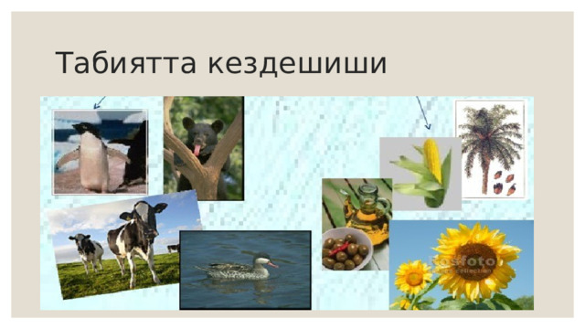 Табиятта кездешиши 