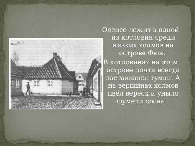 Оденсе лежит в одной из котловин среди низких холмов на острове Фюн. В котловинах на этом острове почти всегда застаивался туман. А на вершинах холмов цвёл вереск и уныло шумели сосны. 