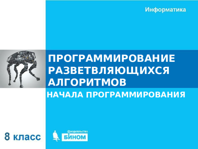 ПРОГРАММИРОВАНИЕ РАЗВЕТВЛЯЮЩИХСЯ АЛГОРИТМОВ НАЧАЛА ПРОГРАММИРОВАНИЯ 