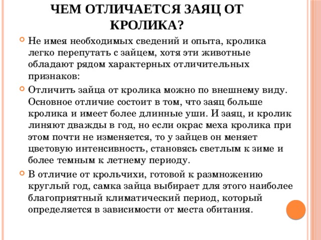 Чем отличается заяц от кролика?   Не имея необходимых сведений и опыта, кролика легко перепутать с зайцем, хотя эти животные обладают рядом характерных отличительных признаков: Отличить зайца от кролика можно по внешнему виду. Основное отличие состоит в том, что заяц больше кролика и имеет более длинные уши. И заяц, и кролик линяют дважды в год, но если окрас меха кролика при этом почти не изменяется, то у зайцев он меняет цветовую интенсивность, становясь светлым к зиме и более темным к летнему периоду. В отличие от крольчихи, готовой к размножению круглый год, самка зайца выбирает для этого наиболее благоприятный климатический период, который определяется в зависимости от места обитания. 