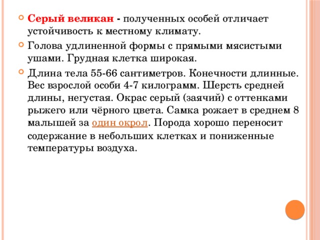 Серый великан - полученных особей отличает устойчивость к местному климату. Голова удлиненной формы с прямыми мясистыми ушами. Грудная клетка широкая. Длина тела 55-66 сантиметров. Конечности длинные. Вес взрослой особи 4-7 килограмм. Шерсть средней длины, негустая. Окрас серый (заячий) с оттенками рыжего или чёрного цвета. Самка рожает в среднем 8 малышей за один окрол . Порода хорошо переносит содержание в небольших клетках и пониженные температуры воздуха. 
