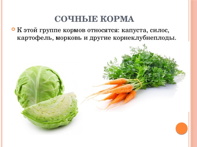 Сочные корма К этой группе кормов относятся: капуста, силос, картофель, морковь и другие корнеклубнеплоды. 