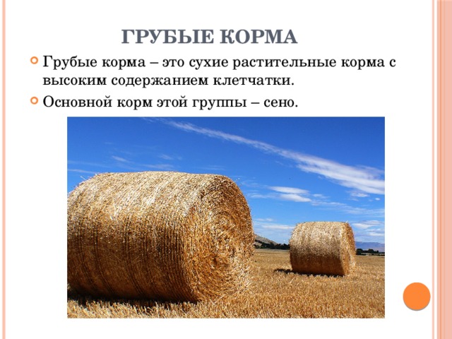 Грубые корма Грубые корма – это сухие растительные корма с высоким содержанием клетчатки. Основной корм этой группы – сено. 