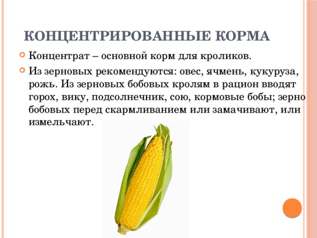 Концентрированные корма Концентрат – основной корм для кроликов. Из зерновых рекомендуются: овес, ячмень, кукуруза, рожь. Из зерновых бобовых кролям в рацион вводят горох, вику, подсолнечник, сою, кормовые бобы; зерно бобовых перед скармливанием или замачивают, или измельчают. 