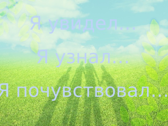 Я увидел… Я узнал… Я почувствовал… 