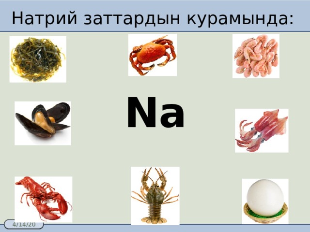Натрий заттардын курамында: Na 