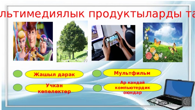 Мультимедиялык продуктыларды тап? Мультфильм Жашыл дарак Ар кандай компьютердик оюндар Учкан көпөлөктөр  