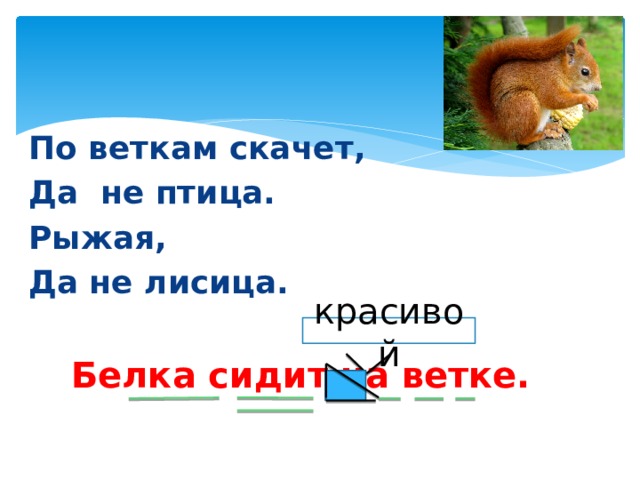 По веткам скачет, Да не птица. Рыжая, Да не лисица.  Белка сидит на ветке. красивой 