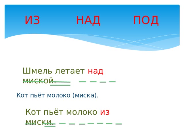 ИЗ НАД ПОД Шмель летает над миской. Кот пьёт молоко (миска). Кот пьёт молоко из миски. 