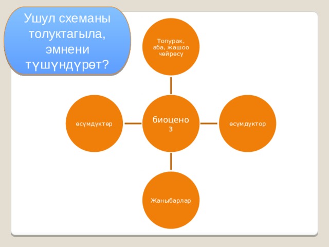 Ушул схеманы толуктагыла, эмнени түшүндүрөт? Топурак, аба, жашоо чөйрөсү биоценоз өсүмдүктор өсүмдүктөр Жаныбарлар 