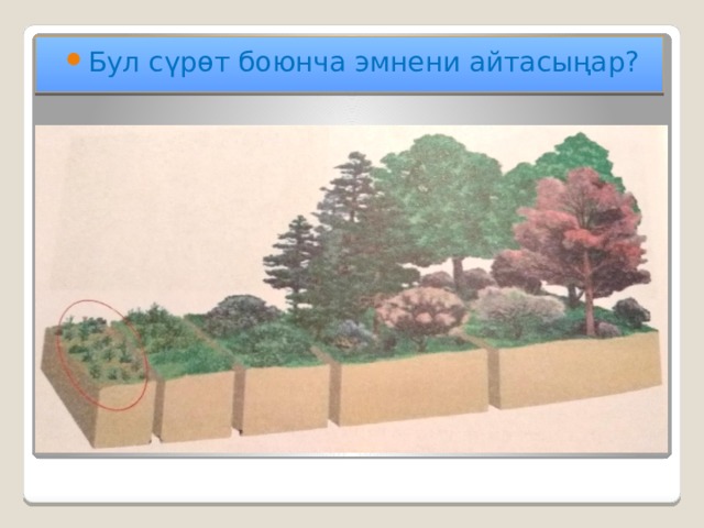 Бул сүрөт боюнча эмнени айтасыңар? 