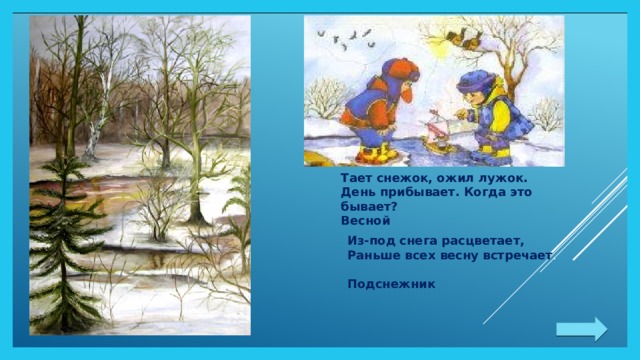 Из-под снега расцветает,  Раньше всех весну встречает . Подснежник Тает снежок, ожил лужок.  День прибывает. Когда это бывает? Весной 