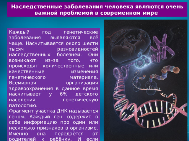 Наследственные заболевания человека являются очень важной проблемой в современном мире Каждый год генетические заболевания выявляются всё чаще. Насчитывается около шести тысяч разновидностей наследственных болезней. Они возникают из–за того, что происходят количественные или качественные изменения генетического материала. Всемирная организация здравоохранения в данное время насчитывает у 6% детского населения генетическую патологию. Фрагмент участка ДНК называется геном. Каждый ген содержит в себе информацию про один или несколько признаков в организме. Именно она передаётся от родителей к ребёнку. И если возникают повреждения или нарушения в их работе, появляются генетические болезни, которые передаются по наследству. И это является основным механизмом наследственности. 