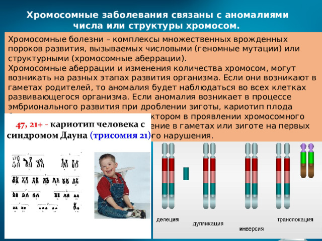 Хромосомные заболевания связаны с аномалиями числа или структуры хромосом.  Хромосомные болезни – комплексы множественных врожденных пороков развития, вызываемых числовыми (геномные мутации) или структурными (хромосомные аберрации). Хромосомные аберрации и изменения количества хромосом, могут возникать на разных этапах развития организма. Если они возникают в гаметах родителей, то аномалия будет наблюдаться во всех клетках развивающегося организма. Если аномалия возникает в процессе эмбрионального развития при дроблении зиготы, кариотип плода будет мозаичным. Решающим фактором в проявлении хромосомного заболевания является возникновение в гаметах или зиготе на первых этапах её дробления хромосомного нарушения. 