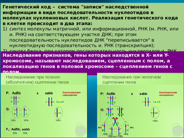 Генетический код – система 