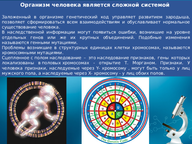 Организм человека является сложной системой  Заложенный в организме генетический код управляет развитием зародыша, позволяет сформироваться всем взаимодействиям и обуславливает нормальное существование человека. В наследственной информации могут появиться ошибки, возникшие на уровне отдельных генов или же их крупных объединений. Подобные изменения называются генными мутациями. Проблемы возникшие в структурных единицах клетки хромосомах, называются хромосомными мутациями. Сцепленное с полом наследование – это наследование признаков, гены которых локализованы в половых хромосомах - открытие Т. Морганом. Признаки. У человека признаки, наследуемые через Y- хромосому , могут быть только у лиц мужского пола, а наследуемые через X- хромосому - у лиц обоих полов. 