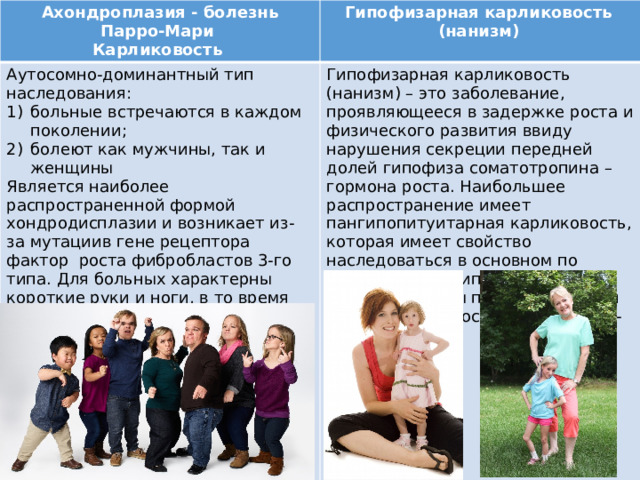 Ахондроплазия - болезнь Парро-Мари Карликовость Гипофизарная карликовость Аутосомно-доминантный тип наследования: (нанизм) Гипофизарная карликовость (нанизм) – это заболевание, проявляющееся в задержке роста и физического развития ввиду нарушения секреции передней долей гипофиза соматотропина – гормона роста. Наибольшее распространение имеет пангипопитуитарная карликовость, которая имеет свойство наследоваться в основном по рецессивному типу. больные встречаются в каждом поколении; болеют как мужчины, так и женщины Два типа формы передачи данной патологии – аутосомная и через Х-хромосому. Является наиболее распространенной формой хондродисплазии и возникает из-за мутациив гене рецептора фактор роста фибробластов 3-го типа. Для больных характерны короткие руки и ноги, в то время как размеры туловища остаются нормальными или только немного меньше обычных. Как правило, у больных увеличена голова, а лоб выдается вперед. Рост взрослого человека с около 130 см 