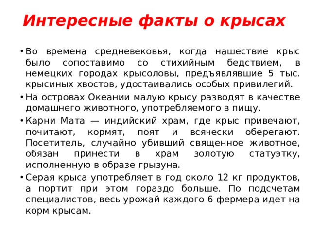 Интересные факты о крысах Во времена средневековья, когда нашествие крыс было сопоставимо со стихийным бедствием, в немецких городах крысоловы, предъявлявшие 5 тыс. крысиных хвостов, удостаивались особых привилегий. На островах Океании малую крысу разводят в качестве домашнего животного, употребляемого в пищу. Карни Мата — индийский храм, где крыс привечают, почитают, кормят, поят и всячески оберегают. Посетитель, случайно убивший священное животное, обязан принести в храм золотую статуэтку, исполненную в образе грызуна. Серая крыса употребляет в год около 12 кг продуктов, а портит при этом гораздо больше. По подсчетам специалистов, весь урожай каждого 6 фермера идет на корм крысам. 