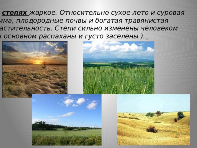 В степях жаркое. Относительно сухое лето и суровая зима, плодородные почвы и богатая травянистая растительность. Степи сильно изменены человеком (в основном распаханы и густо заселены ).  ж 
