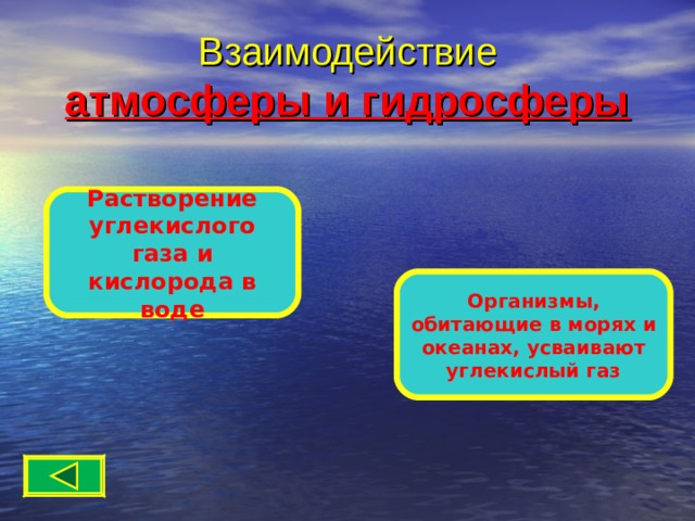 Взаимодействие  атмосферы и гидросферы Растворение углекислого газа и кислорода в воде Организмы, обитающие в морях и океанах, усваивают углекислый газ 