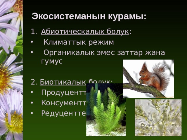  Экосистеманын курамы: Абиотическалык болук :  Климаттык режим  Органикалык эмес заттар жана гумус 2. Биотикалык болук : Продуценттер Консументтер Редуценттер 