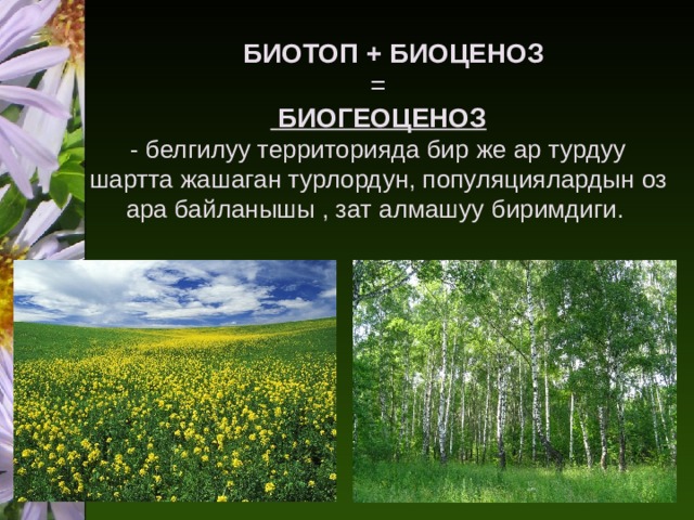  БИОТОП + БИОЦЕНОЗ  =   БИОГЕОЦЕНОЗ  - белгилуу территорияда бир же ар турдуу шартта жашаган турлордун, популяциялардын оз ара байланышы , зат алмашуу биримдиги. 