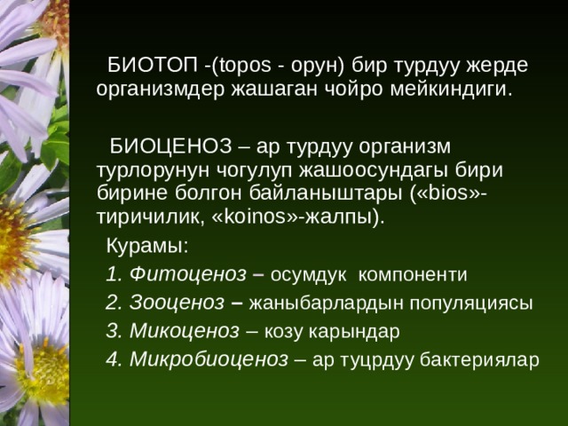    БИОТОП -( topos - орун) бир турдуу жерде организмдер жашаган чойро мейкиндиги.   БИОЦЕНОЗ – ар турдуу организм турлорунун чогулуп жашоосундагы бири бирине болгон байланыштары (« bios »-тиричилик, « koinos »-жалпы).  Курамы:  1. Фитоценоз – осумдук компоненти  2. Зооценоз – жаныбарлардын популяциясы  3. Микоценоз – козу карындар  4. Микробиоценоз – ар туцрдуу бактериялар 