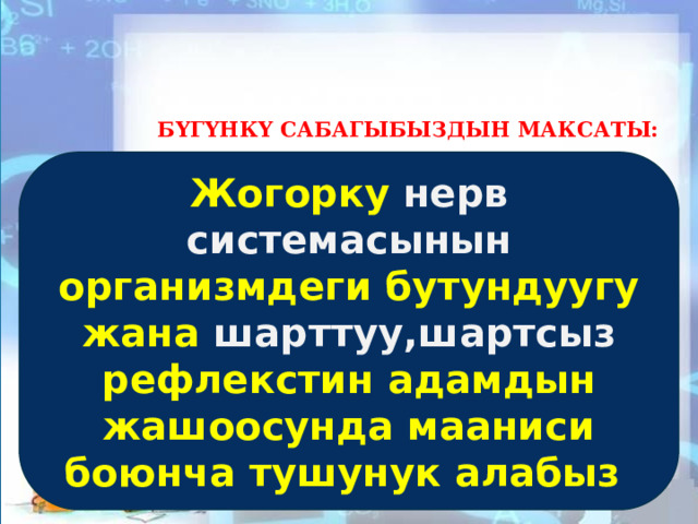    БYгΥнкY сабагыбыздын максаты:   Жогорку нерв системасынын организмдеги бутундуугу жана шарттуу,шартсыз рефлекстин адамдын жашоосунда мааниси боюнча тушунук алабыз 